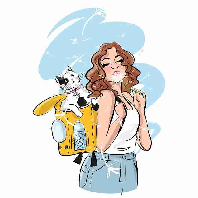 高能警告：麻豆网经典回顾彩蛋合集