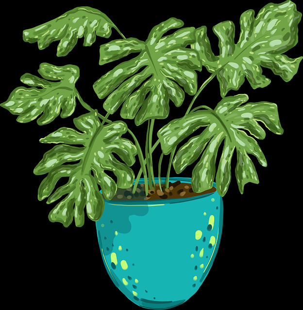 糖心vlog在线教学边界探测评测？彩蛋级！完全手册