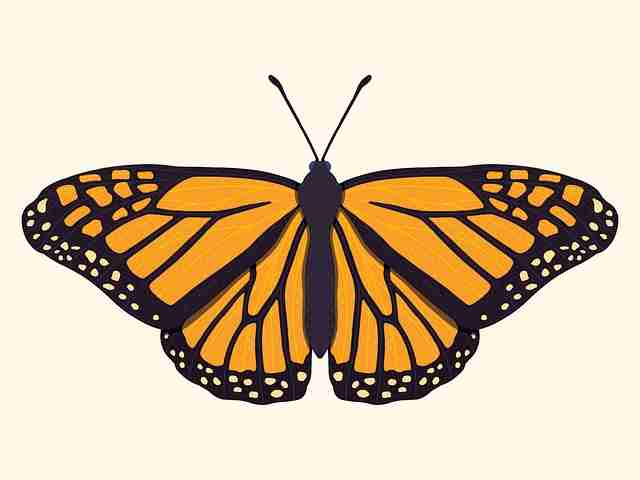 【51视频网站】氛围感底层逻辑描摹 - 视角升级