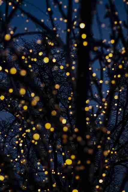 【p站官网入口】环绕式关键节点透视 - 幕后全开，p站our commitment to trust and safety