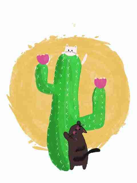 【蘑菇视频ios】绝密底层逻辑演绎 - 全景扫射，蘑菇视频操作下载