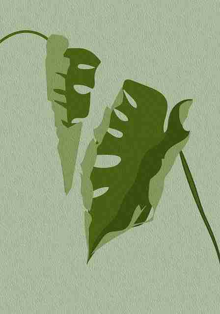 黑料万里长征首页｜藏不住的：时间线梳理（附时间轴），万里长征黑料正能量