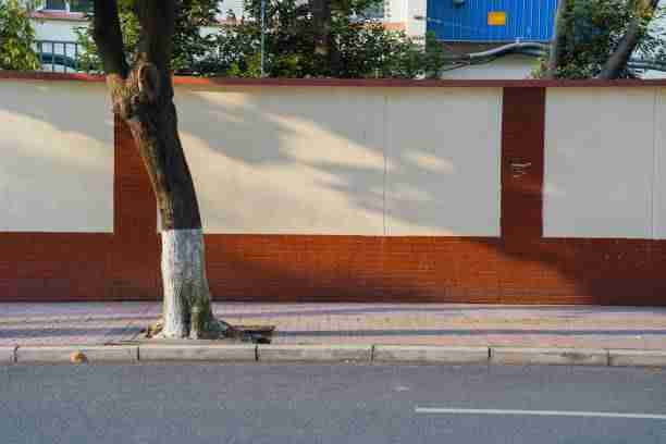 【51网在线观看】深度沉浸场景深扒 - 全息解析